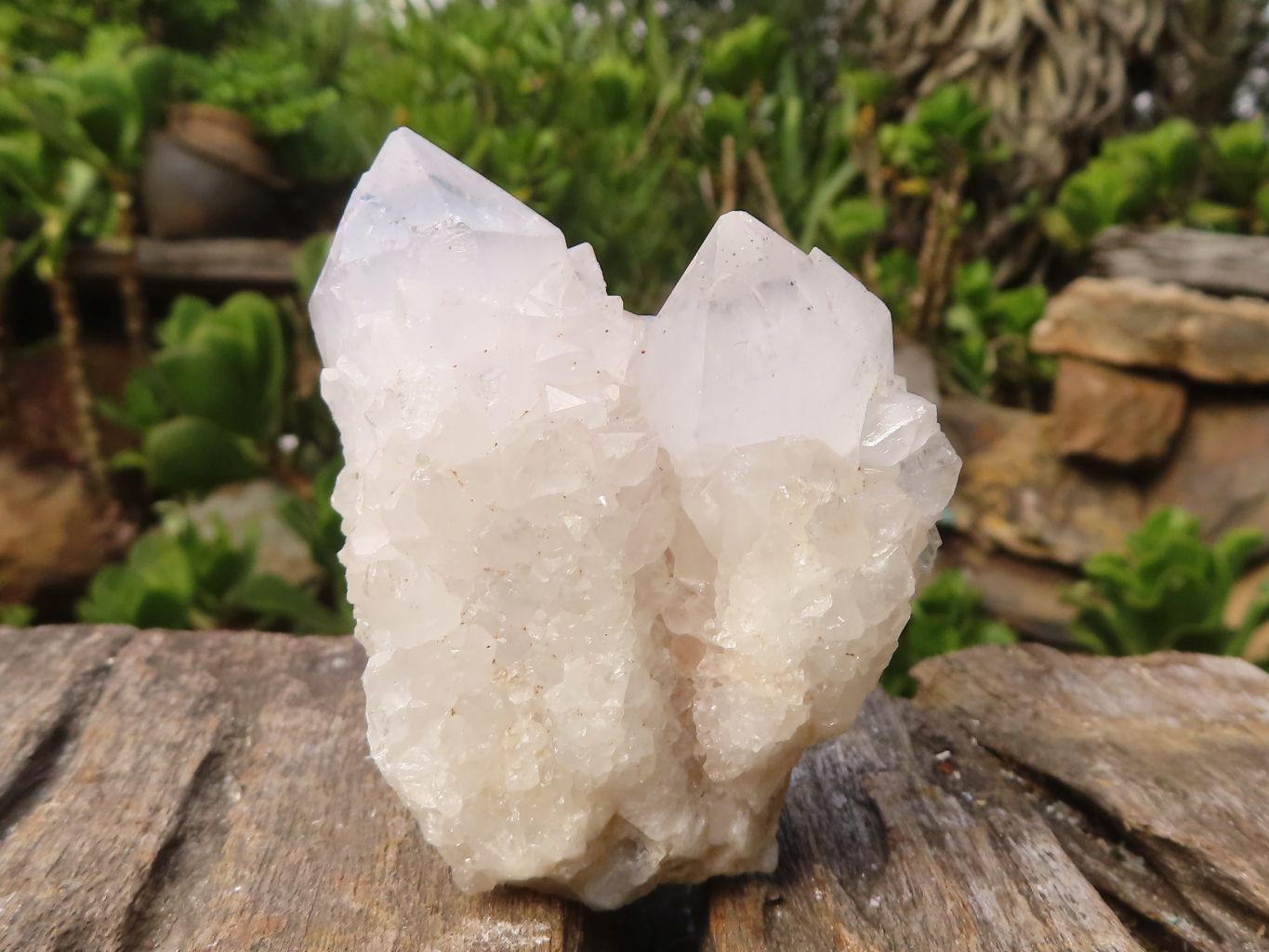 Natural White Spirit Cactus Quartz Clusters  x 6 From Boekenhouthoek, South Africa - Toprock Gemstones and Minerals 