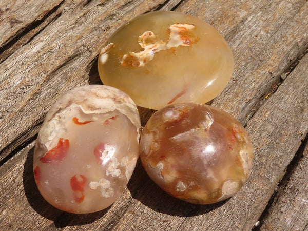 Polished Coral Flower Agate Palm Stones  x 12 From Madagascar - TopRock