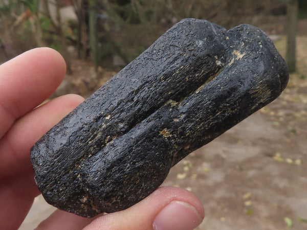 Natural Alluvial Black Schorl Tourmaline Crystals  x 25 From Zambia - TopRock