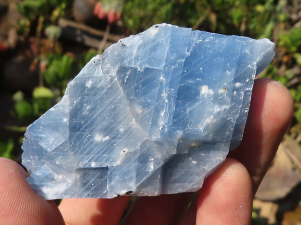 Natural Sky Blue Calcite Specimens With Hematite Spots  x 35 From Spitzkop, Namibia
