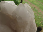 Natural White Quartz Clusters  x 2 From Madagascar - TopRock