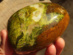Polished  Green Opal Standing Free Forms  x 3 From Madagascar - Toprock Gemstones and Minerals 