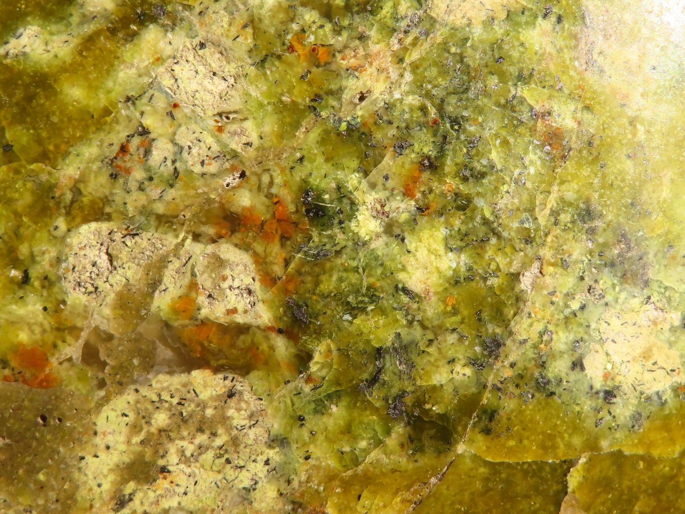 Polished  Green Opal Standing Free Forms  x 3 From Madagascar - Toprock Gemstones and Minerals 