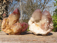 Natural Red Hematoid Phantom Quartz Specimens x 2 From Karoi, Zimbabwe - Toprock Gemstones and Minerals 