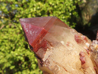 Natural Red Hematoid Phantom Quartz Specimens x 2 From Karoi, Zimbabwe - Toprock Gemstones and Minerals 