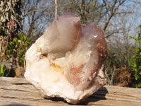 Natural Red Hematoid Phantom Quartz Specimens x 2 From Karoi, Zimbabwe - Toprock Gemstones and Minerals 