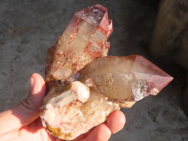 Natural Red Hematoid Phantom Quartz Specimens x 2 From Karoi, Zimbabwe - Toprock Gemstones and Minerals 