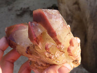 Natural Red Hematoid Phantom Quartz Specimens x 2 From Karoi, Zimbabwe - Toprock Gemstones and Minerals 