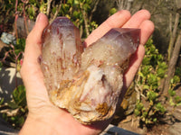 Natural Red Hematoid Phantom Quartz Specimens x 2 From Karoi, Zimbabwe - Toprock Gemstones and Minerals 