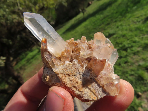 Natural Small Mixed Quartz Clusters With Long Intact Crystals x 24 From Madagascar - TopRock