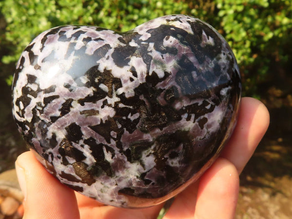Polished Gabbro / Merlinite Hearts  x 6 From Madagascar - Toprock Gemstones and Minerals 