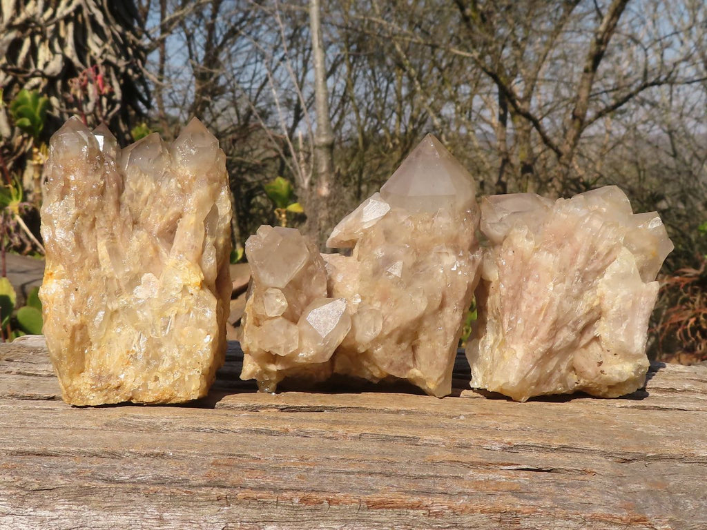 Natural Cascading Smokey Quartz Clusters x 3 From Luena, Congo - Toprock Gemstones and Minerals 