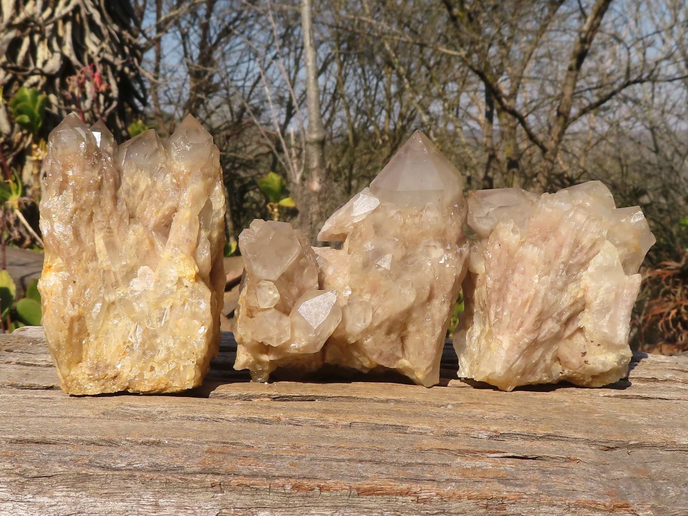 Natural Cascading Smokey Quartz Clusters x 3 From Luena, Congo - Toprock Gemstones and Minerals 