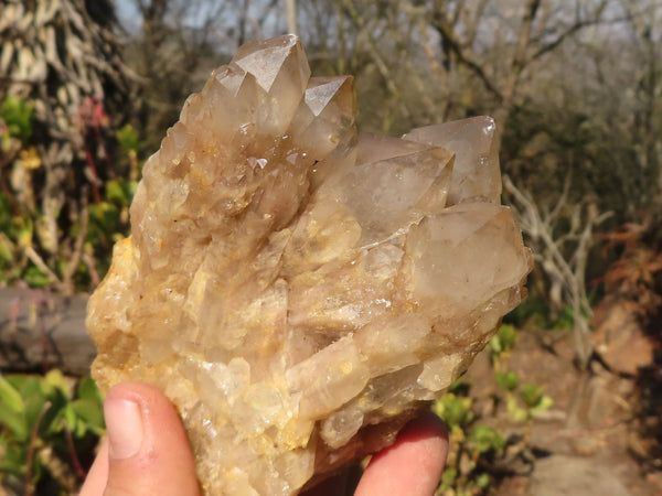 Natural Cascading Smokey Quartz Clusters x 3 From Luena, Congo - Toprock Gemstones and Minerals 