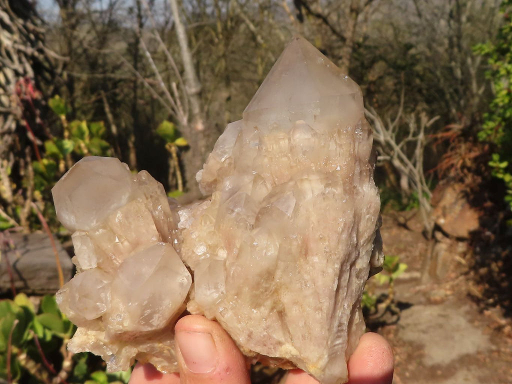 Natural Cascading Smokey Quartz Clusters x 3 From Luena, Congo - Toprock Gemstones and Minerals 