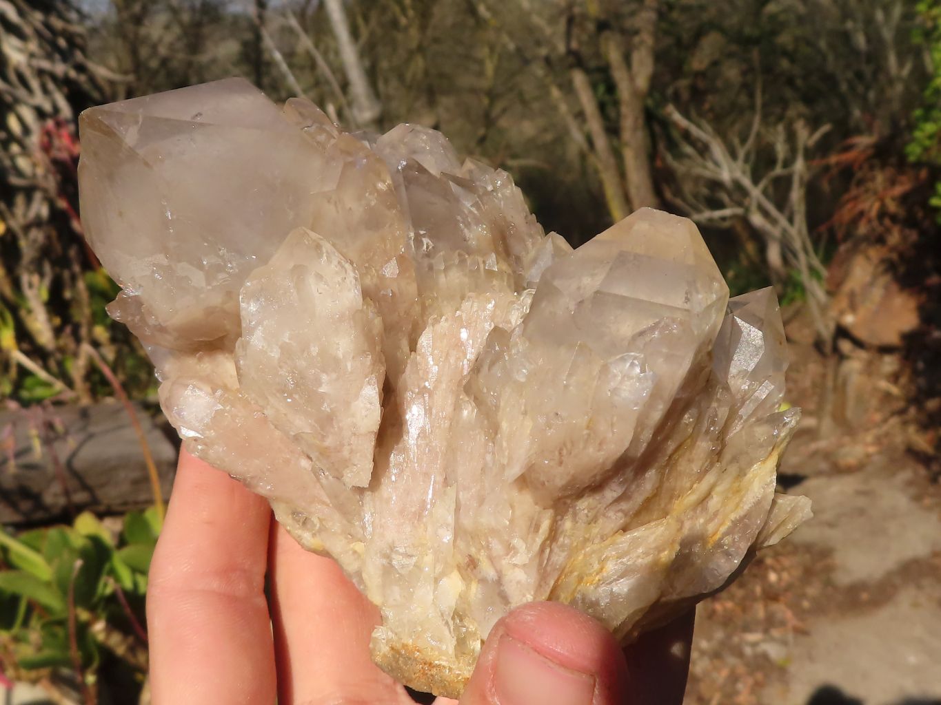 Natural Cascading Smokey Quartz Clusters x 3 From Luena, Congo - Toprock Gemstones and Minerals 