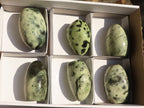 Polished Spotted Leopard Stone Standing Free Forms  x 6 From Zimbabwe - Toprock Gemstones and Minerals 
