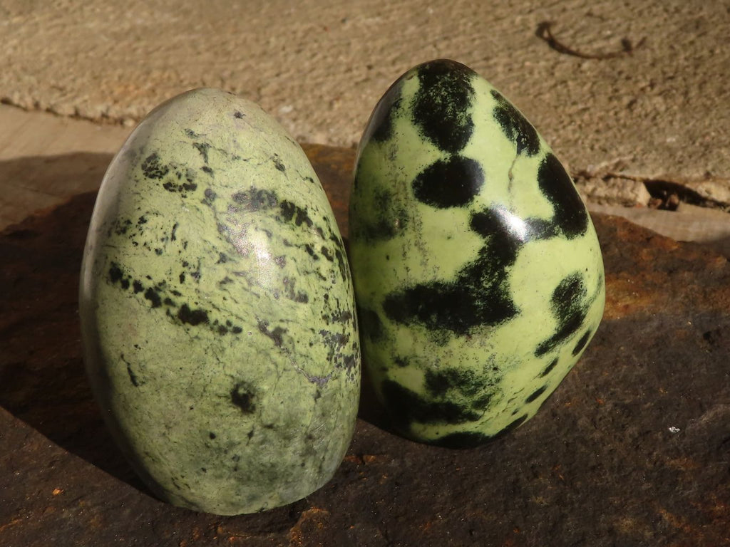 Leopard Spot Rocks Polished Spotted Leopard Stone Standing Free Forms x 6 From Zimbabwe ...