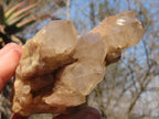 Natural Cascading Smokey Quartz Clusters x 3 From Luena, Congo - Toprock Gemstones and Minerals 