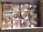 Natural Mixed Selection Of Spirit Quartz Clusters x 12 From Boekenhouthoek, South Africa - TopRock