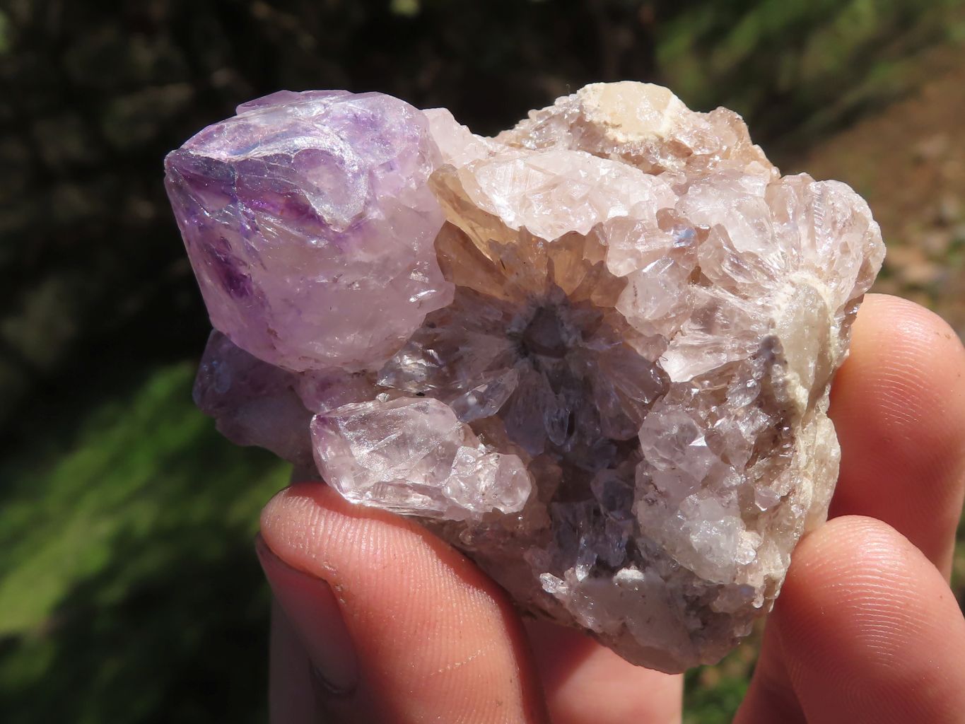 Natural Mixed Selection Of Spirit Quartz Clusters x 12 From Boekenhouthoek, South Africa - TopRock