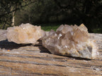Natural Mixed Selection Of Spirit Quartz Clusters x 12 From Boekenhouthoek, South Africa - TopRock