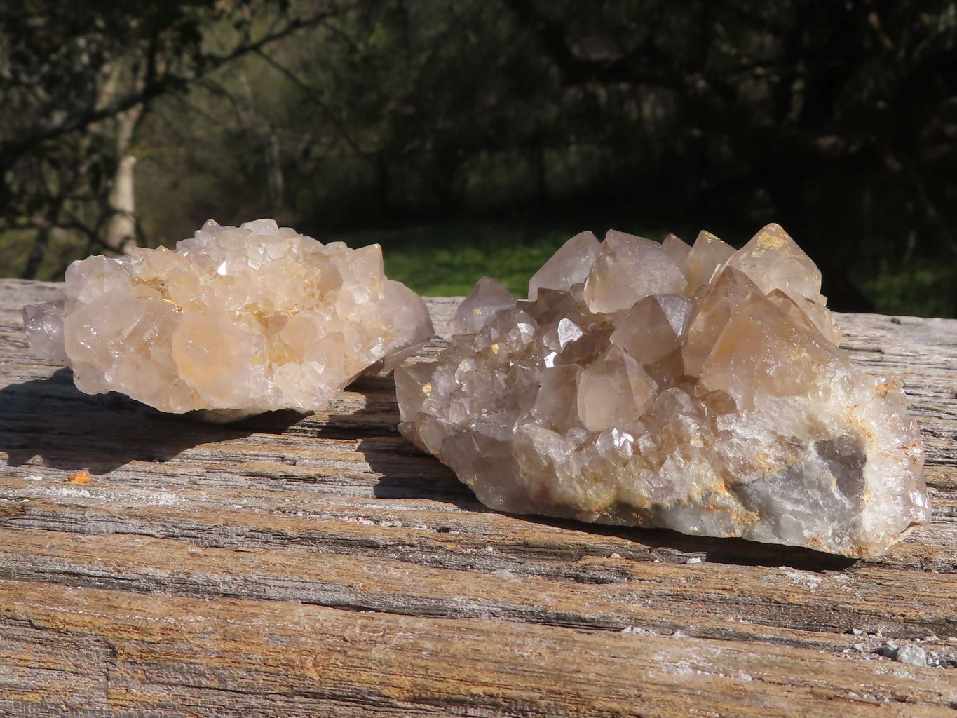 Natural Mixed Selection Of Spirit Quartz Clusters x 12 From Boekenhouthoek, South Africa - TopRock
