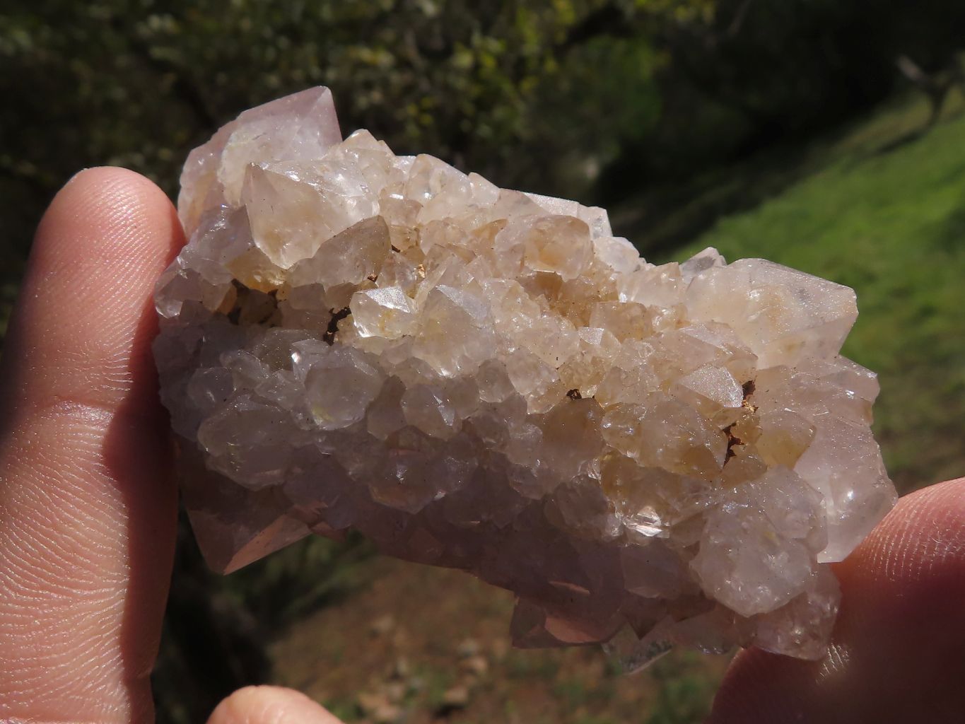 Natural Mixed Selection Of Spirit Quartz Clusters x 12 From Boekenhouthoek, South Africa - TopRock