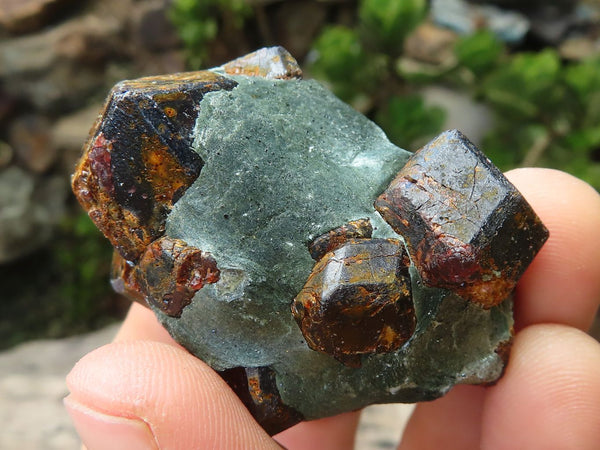 Natural Large Pyrope Garnet Crystals With Fuchsite Mica  x 35 From Zimbabwe