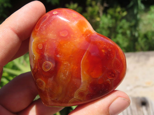 Polished Stunning Bright & White Carnelian Hearts x 12 From Madagascar - TopRock