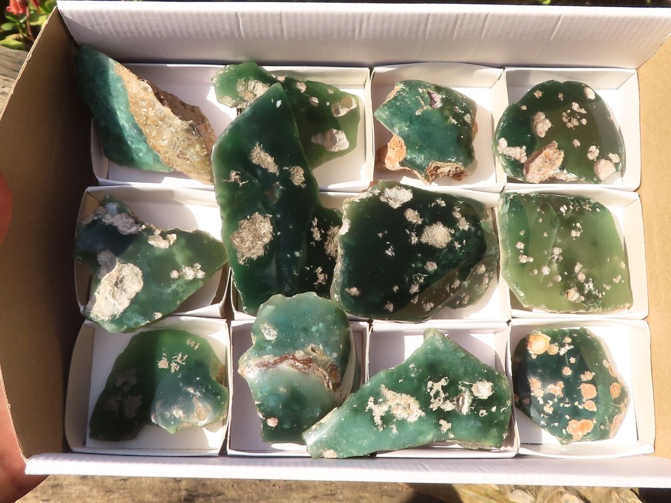 Polished On One Side Emerald Mtorolite Plates x 12 From Mutorashanga, Zimbabwe - Toprock Gemstones and Minerals 