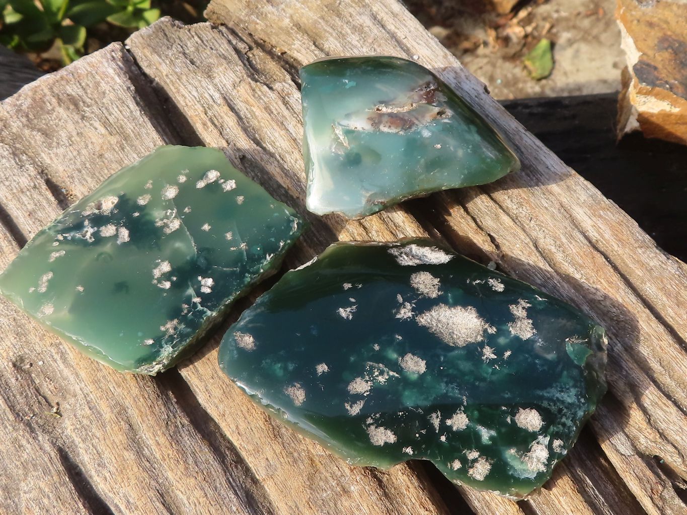 Polished On One Side Emerald Mtorolite Plates x 12 From Mutorashanga, Zimbabwe - Toprock Gemstones and Minerals 