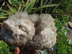 Natural Smokey Phantom Quartz Cluster x 1 From Lwena, Congo - TopRock