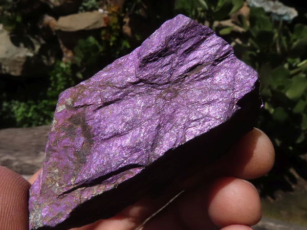 Natural Selected Rough Purpurite Specimens  x 14 From Namibia - TopRock