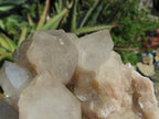 Natural Smokey Phantom Quartz Cluster x 1 From Lwena, Congo - TopRock