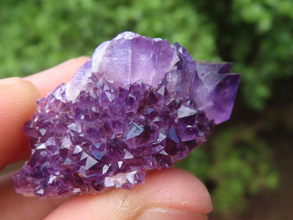Natural Mixed Spirit Quartz Crystals  x 35 From Boekenhouthoek, South Africa - Toprock Gemstones and Minerals 