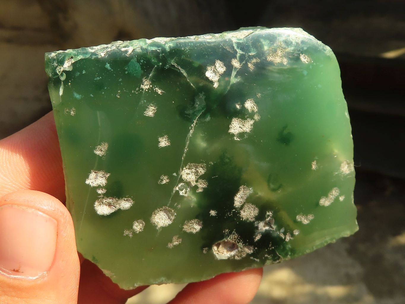 Polished On One Side Emerald Mtorolite Plates x 12 From Mutorashanga, Zimbabwe - Toprock Gemstones and Minerals 