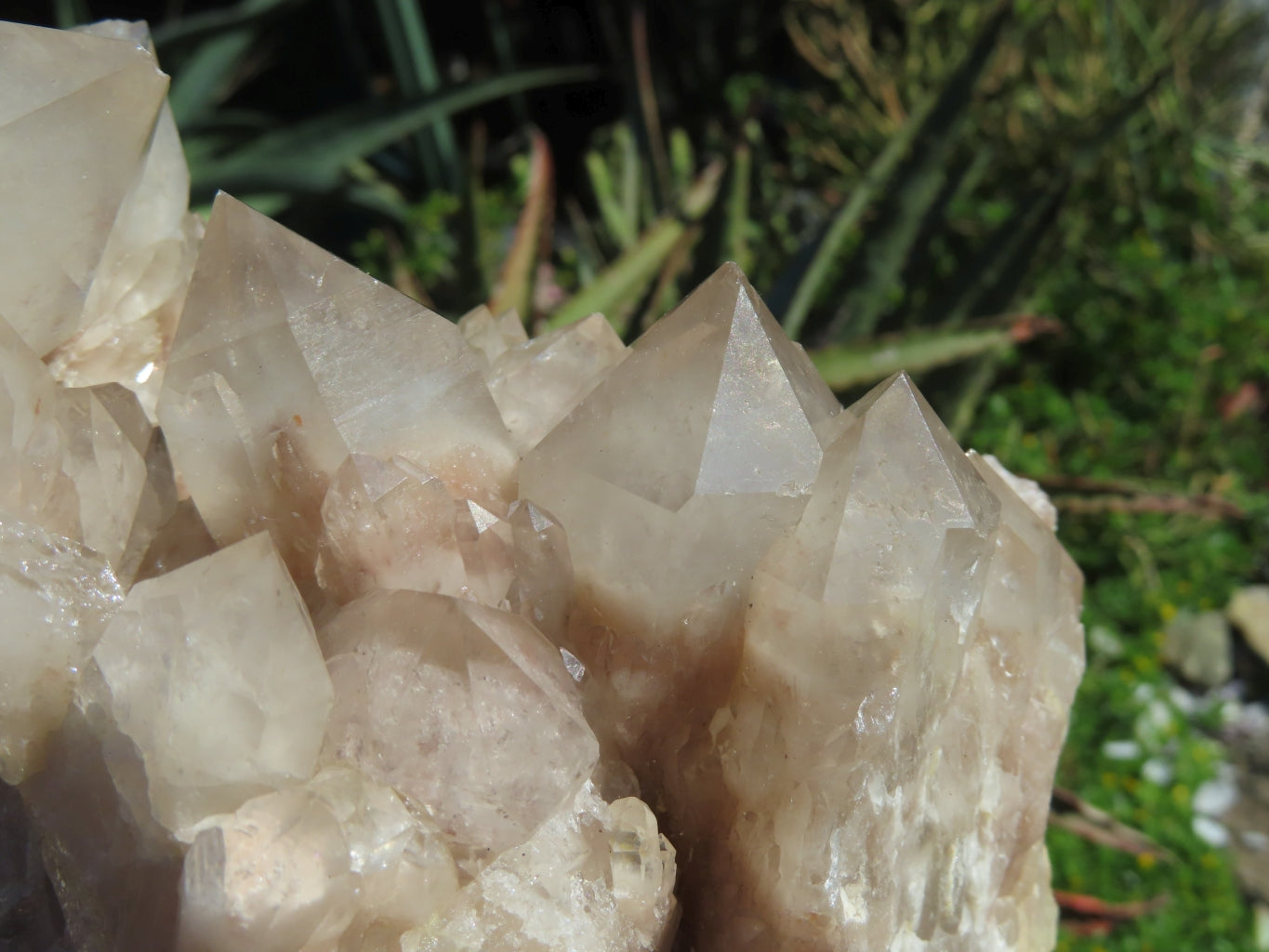 Natural Smokey Phantom Quartz Cluster x 1 From Lwena, Congo - TopRock