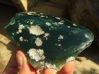 Polished On One Side Emerald Mtorolite Plates x 12 From Mutorashanga, Zimbabwe - Toprock Gemstones and Minerals 