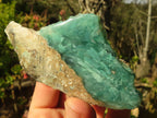Polished On One Side Emerald Mtorolite Plates x 12 From Mutorashanga, Zimbabwe - Toprock Gemstones and Minerals 