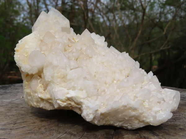 Natural Castle Quartz With Window Termination Cluster x 1 From Ivato, Madagascar - TopRock