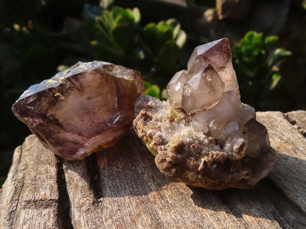 Natural Smokey Amethyst Window Quartz Crystals  x 13 From Chiredzi, Zimbabwe - Toprock Gemstones and Minerals 