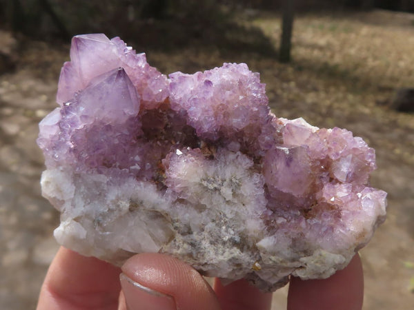 Natural Gorgeous Classic Dark Spirit Amethyst Quartz Clusters  x 12 From Boekenhouthoek, South Africa - TopRock