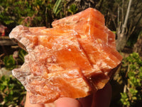 Natural New Sunset Orange Calcite Specimens  x 12 From Spitzkop, Namibia - Toprock Gemstones and Minerals 
