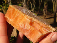 Natural New Sunset Orange Calcite Specimens  x 12 From Spitzkop, Namibia - Toprock Gemstones and Minerals 