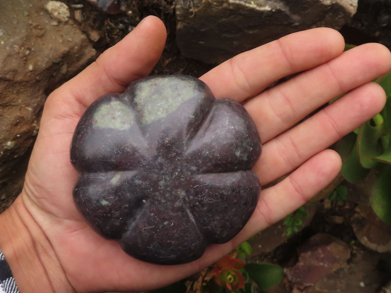 Polished  Maroon Soap Stone Pattipan Carvings  x 6 From Zimbabwe - TopRock