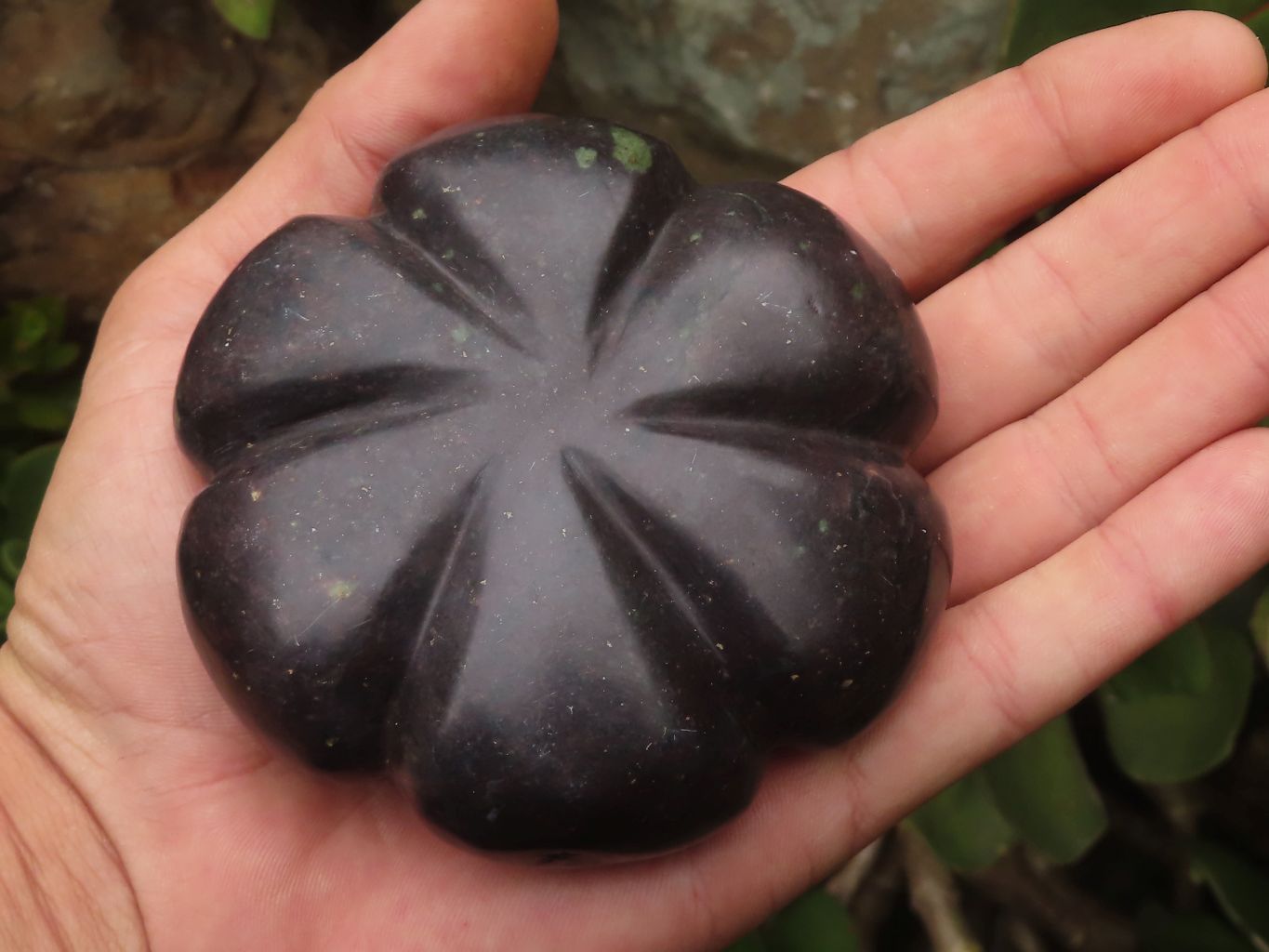 Polished  Maroon Soap Stone Pattipan Carvings  x 6 From Zimbabwe - TopRock