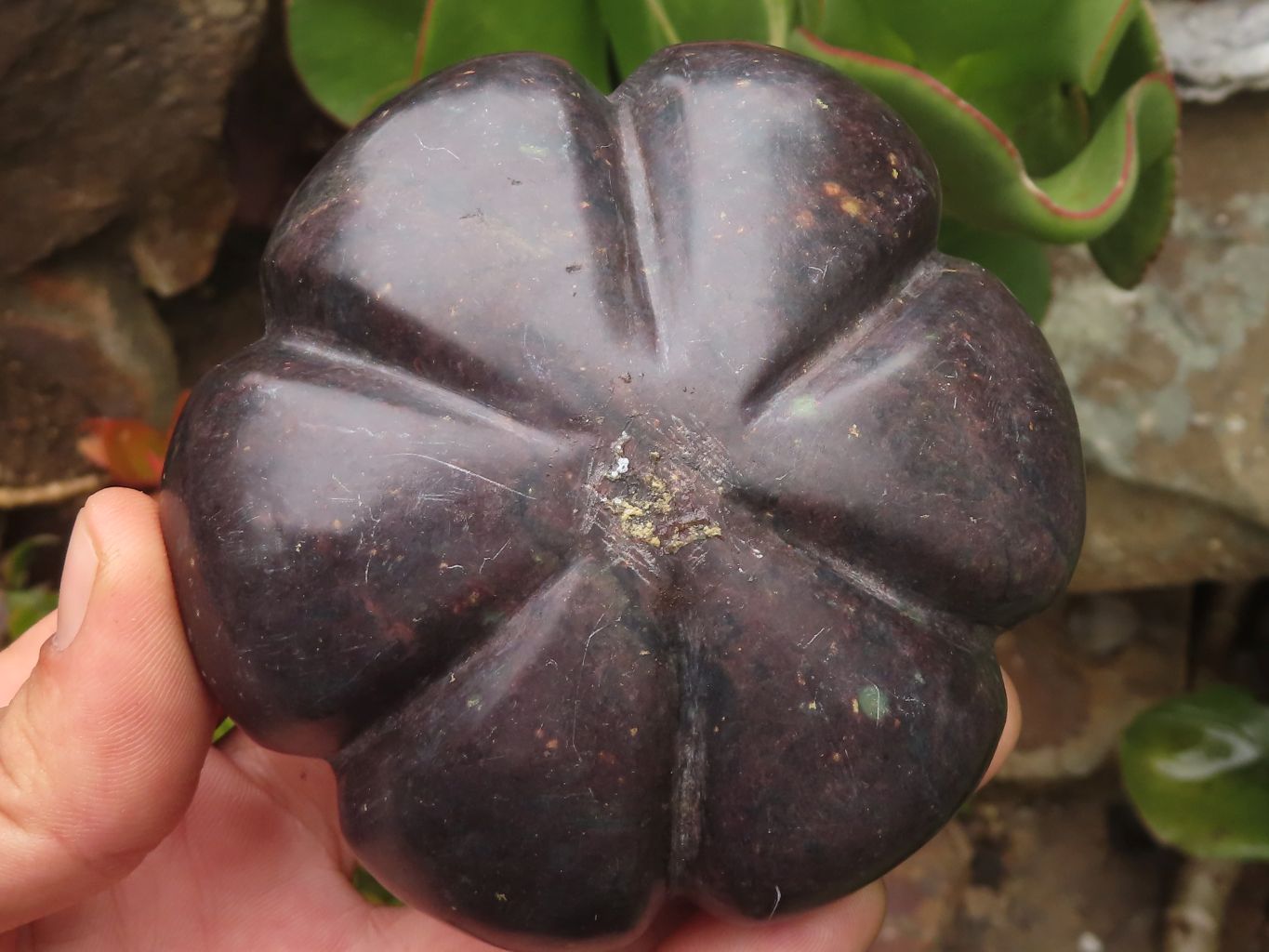 Polished  Maroon Soap Stone Pattipan Carvings  x 6 From Zimbabwe - TopRock