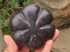 Polished  Maroon Soap Stone Pattipan Carvings  x 6 From Zimbabwe - TopRock