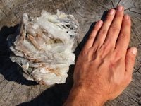 Natural Barite Crystal Specimen x 1 From Tenke Fungurume, Congo - TopRock